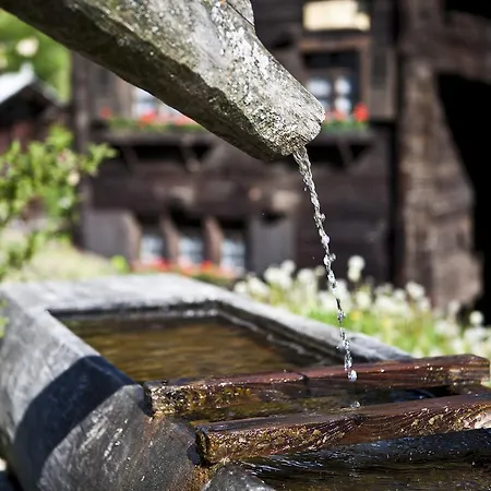 Apartment Danica Blatten bei Naters